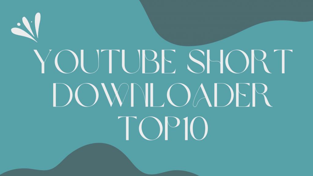 Top 11 Downloaders e Conversores de TikTok para MP4