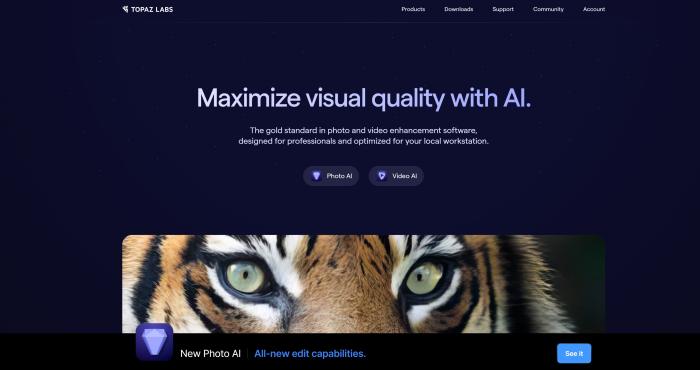 Topaz Labs AI photo enhancer