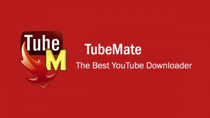 Downloader wideo YouTube