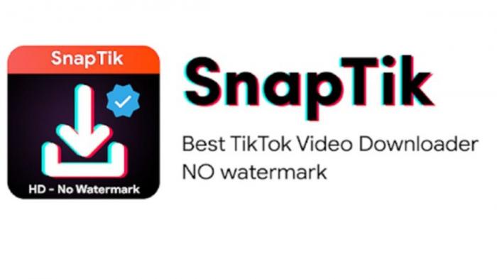 From TikTok to MP4: The Ultimate Guide 