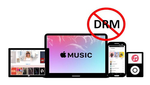 What is DRM and why is it used in Apple Music?-1