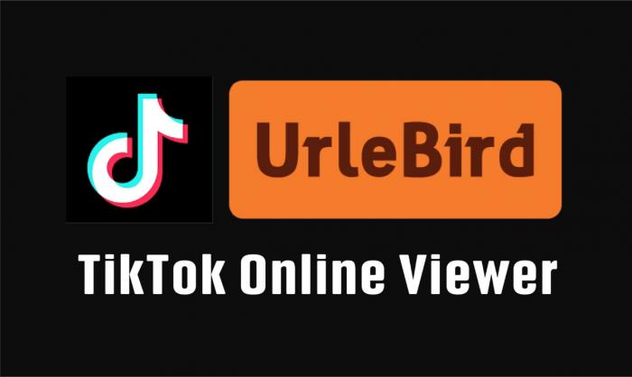 Introduction: What is Urlebird?-1