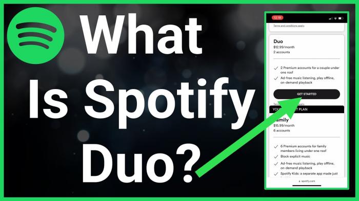Что такое Spotify Duo-1