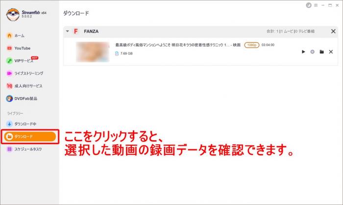 Save Adult Videos Forever?-5