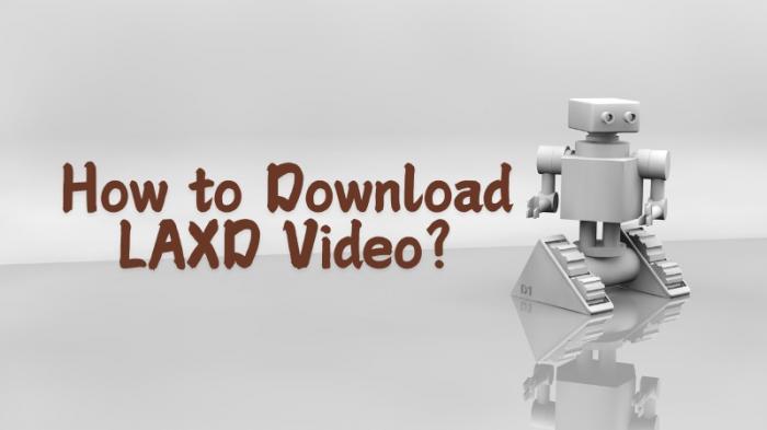 LAXDビデオの紹介-1