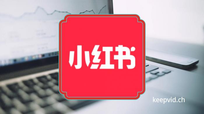 نظرة عامة موجزة على Xiaohongshu (XHS) -1