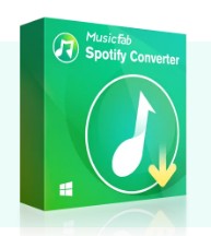 Solutions to Download Errors on Spotify-1