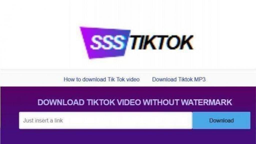 TikTok Video Downloader without Watermark | FintechZoom